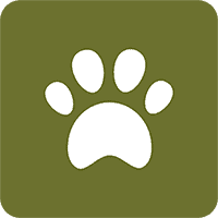 White paw print on green background icon.