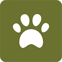 White paw print on green background icon.